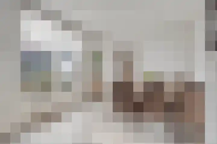 Onder de Zeedijk 10 Poortvliet thumbnail 25