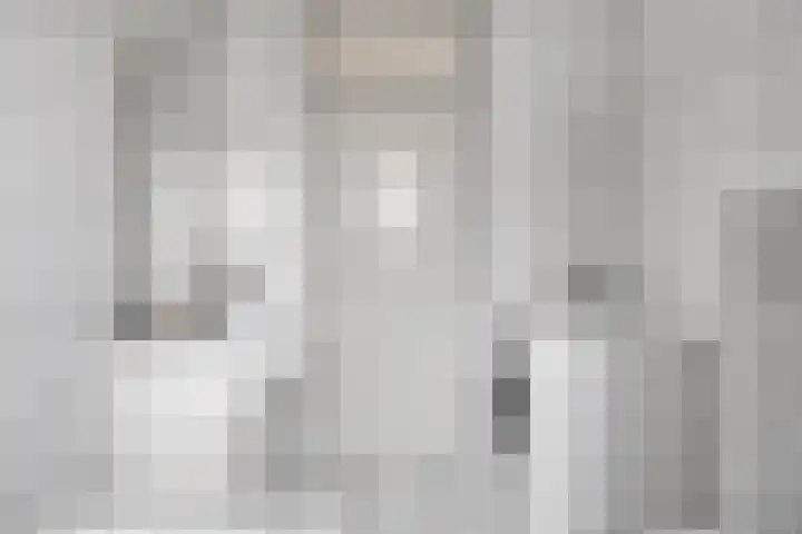 Onder de Zeedijk 10 Poortvliet thumbnail 32