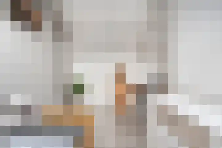 Onder de Zeedijk 10 Poortvliet thumbnail 38