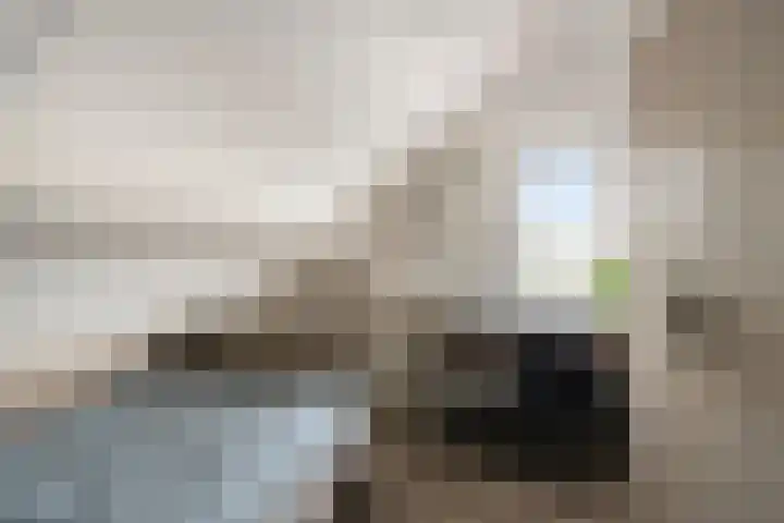 Onder de Zeedijk 10 Poortvliet thumbnail 43