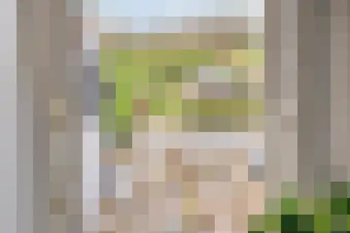 Onder de Zeedijk 10 Poortvliet thumbnail 44
