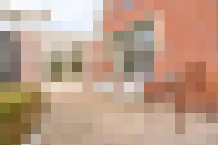 Onder de Zeedijk 10 Poortvliet thumbnail 46