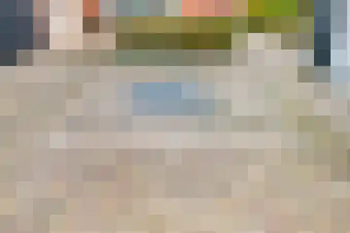 Onder de Zeedijk 10 Poortvliet thumbnail 49