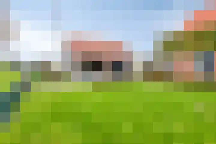 Onder de Zeedijk 10 Poortvliet thumbnail 51