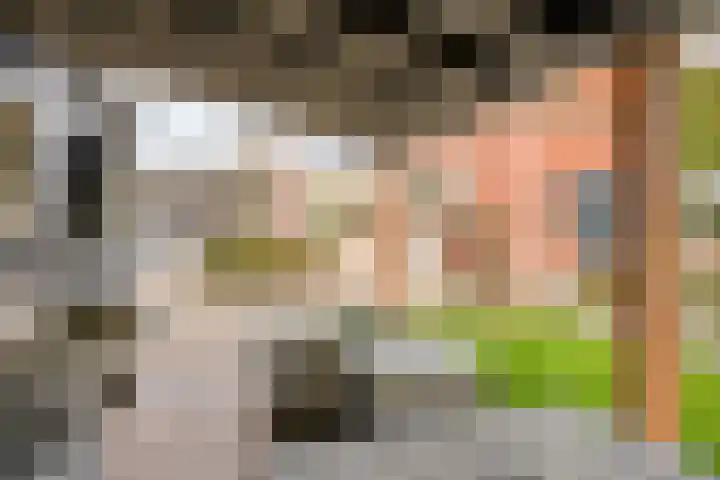 Onder de Zeedijk 10 Poortvliet thumbnail 52