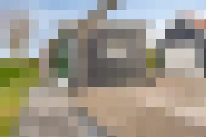 Onder de Zeedijk 10 Poortvliet thumbnail 58