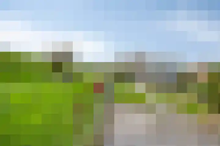 Onder de Zeedijk 10 Poortvliet thumbnail 59