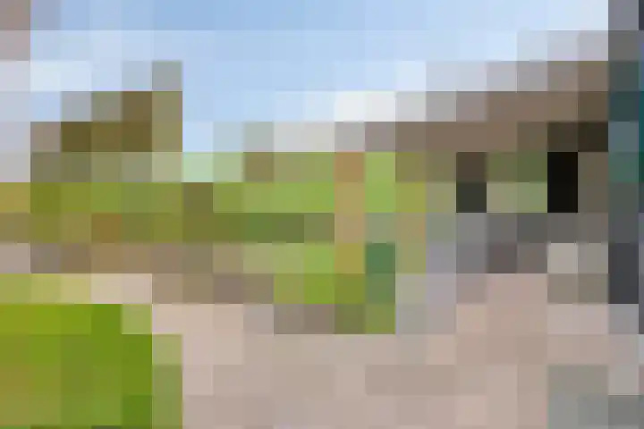Onder de Zeedijk 10 Poortvliet thumbnail 6