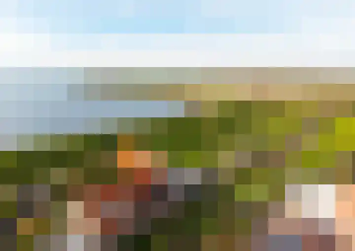Onder de Zeedijk 10 Poortvliet thumbnail 64