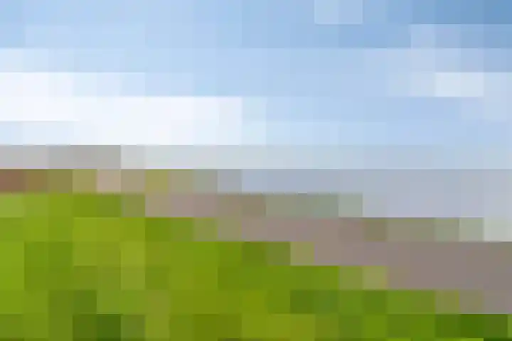 Onder de Zeedijk 10 Poortvliet thumbnail 67