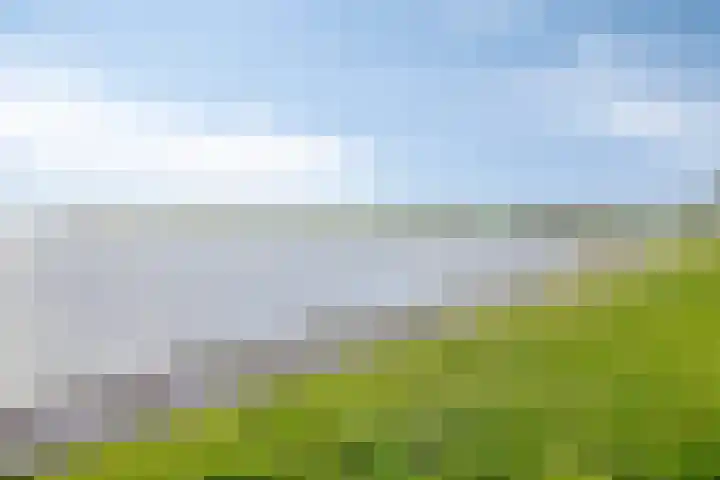 Onder de Zeedijk 10 Poortvliet thumbnail 69