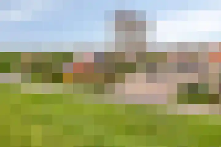 Onder de Zeedijk 10 Poortvliet thumbnail 70