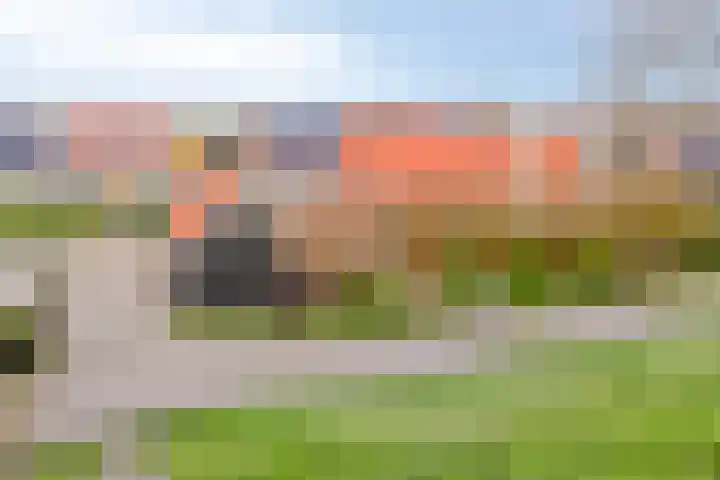 Onder de Zeedijk 10 Poortvliet thumbnail 71