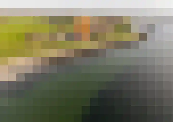 Onder de Zeedijk 10 Poortvliet thumbnail 75