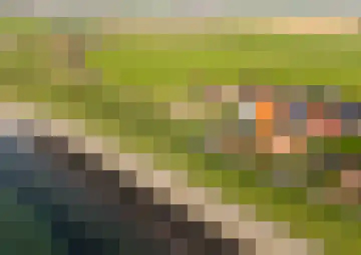 Onder de Zeedijk 10 Poortvliet thumbnail 76