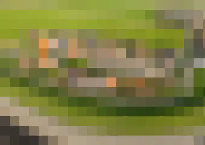 Onder de Zeedijk 10 Poortvliet thumbnail 77