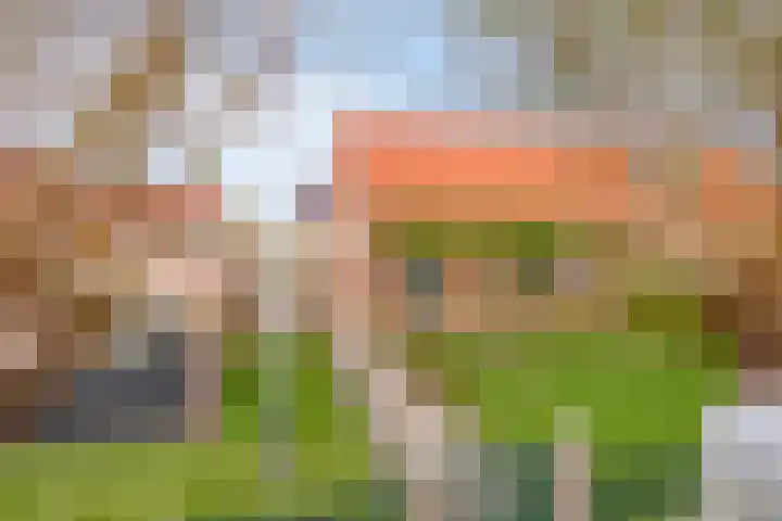 Onder de Zeedijk 10 Poortvliet thumbnail 80