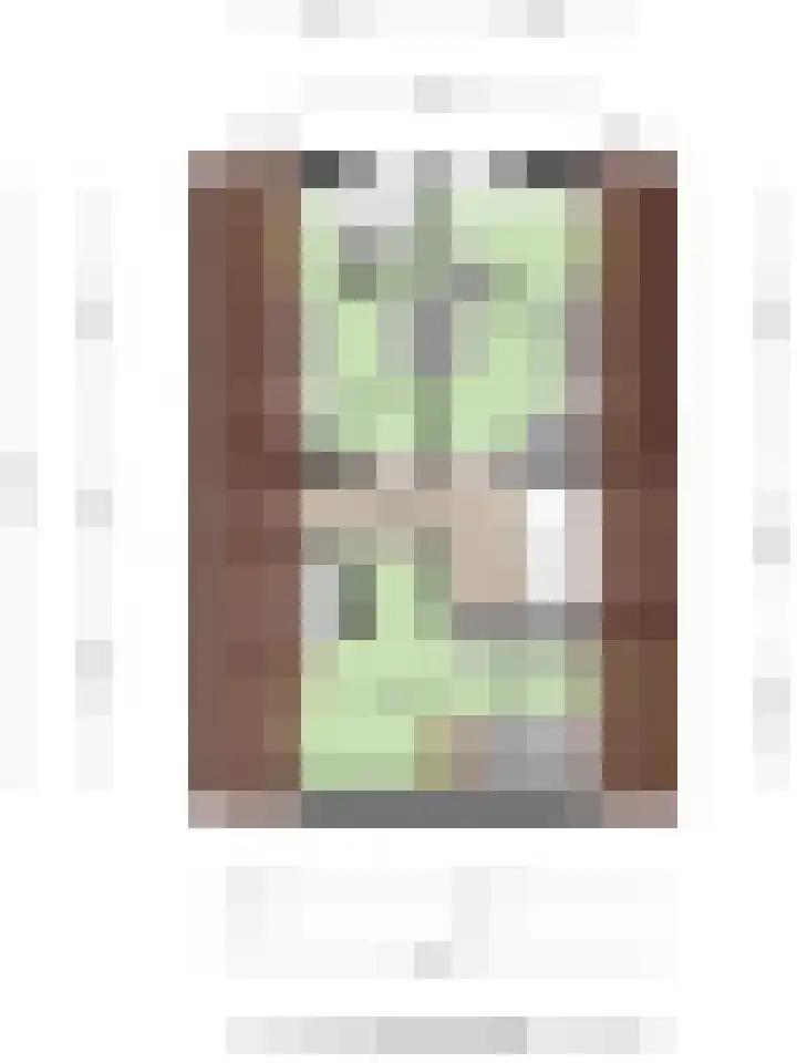 Onder de Zeedijk 10 Poortvliet thumbnail 85