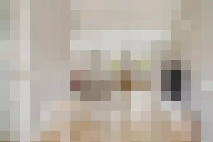 Onder de Zeedijk 8 Poortvliet thumbnail 10