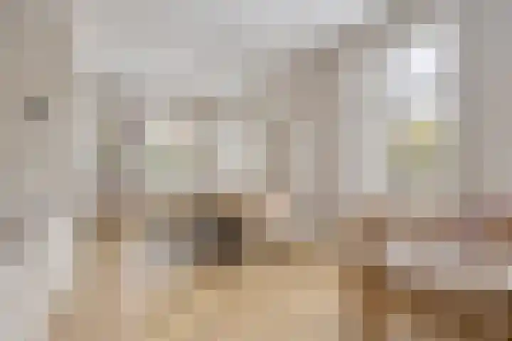 Onder de Zeedijk 8 Poortvliet thumbnail 14