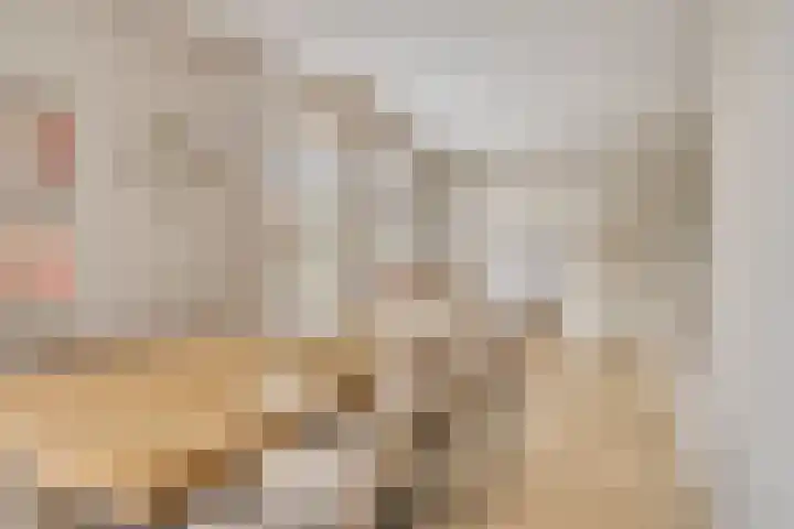 Onder de Zeedijk 8 Poortvliet thumbnail 18