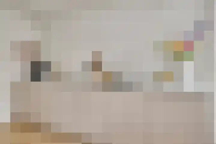 Onder de Zeedijk 8 Poortvliet thumbnail 23