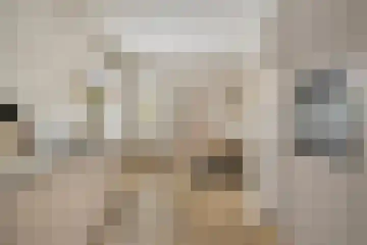 Onder de Zeedijk 8 Poortvliet thumbnail 24