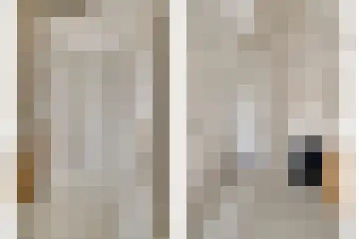 Onder de Zeedijk 8 Poortvliet thumbnail 27