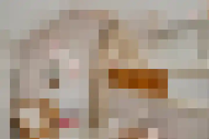 Onder de Zeedijk 8 Poortvliet thumbnail 31