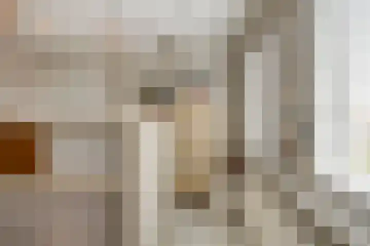 Onder de Zeedijk 8 Poortvliet thumbnail 32