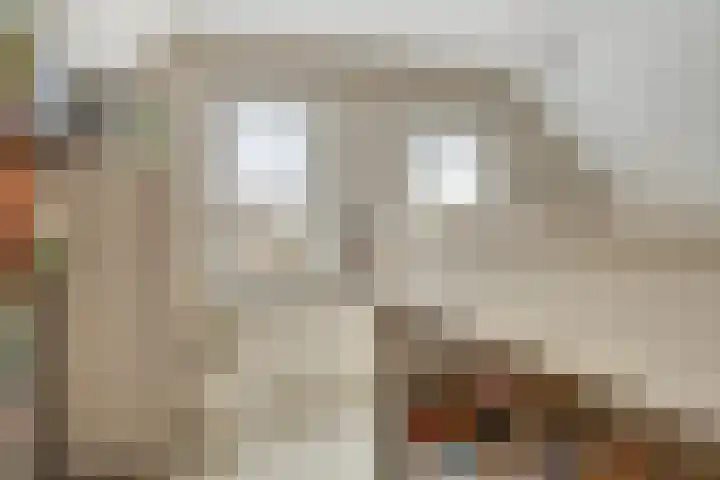 Onder de Zeedijk 8 Poortvliet thumbnail 33