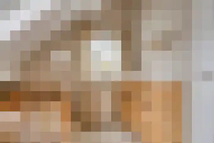 Onder de Zeedijk 8 Poortvliet thumbnail 36