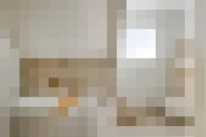 Onder de Zeedijk 8 Poortvliet thumbnail 37