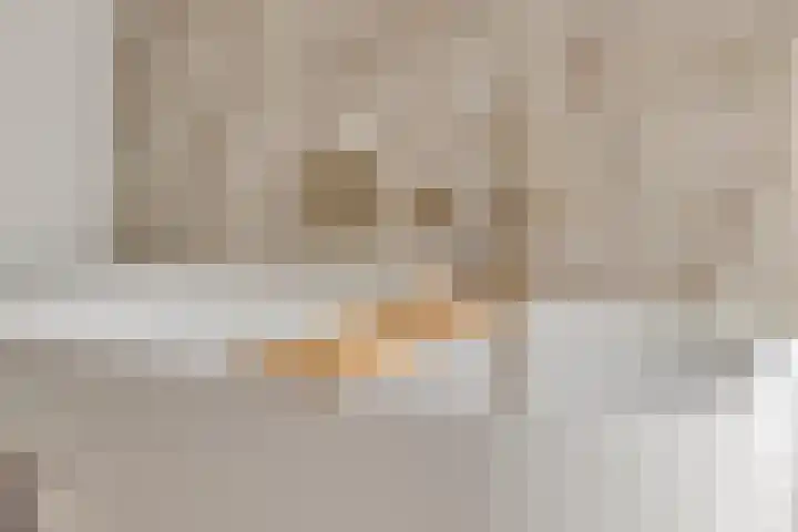 Onder de Zeedijk 8 Poortvliet thumbnail 38