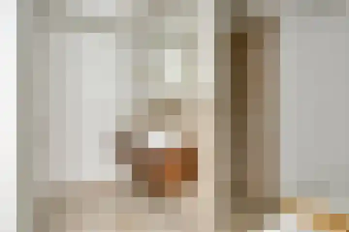 Onder de Zeedijk 8 Poortvliet thumbnail 39