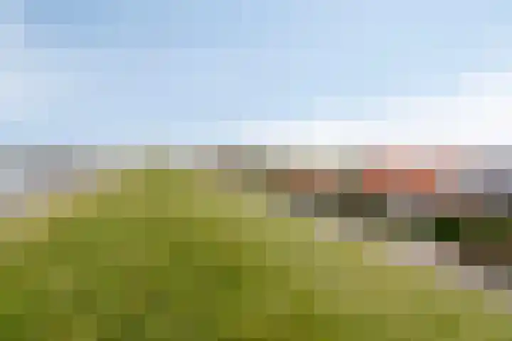 Onder de Zeedijk 8 Poortvliet thumbnail 4