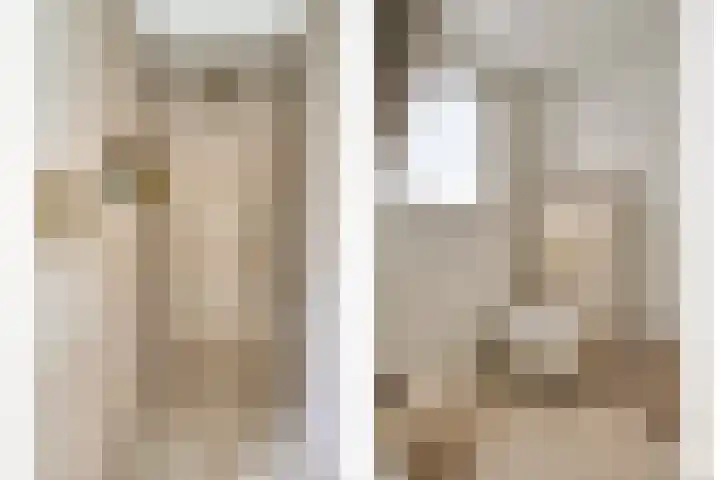 Onder de Zeedijk 8 Poortvliet thumbnail 40