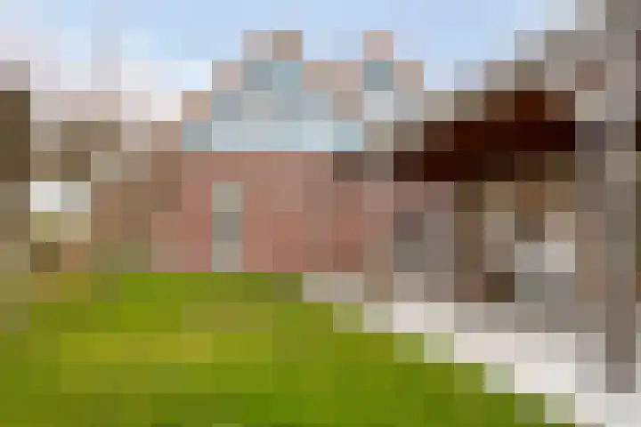 Onder de Zeedijk 8 Poortvliet thumbnail 43