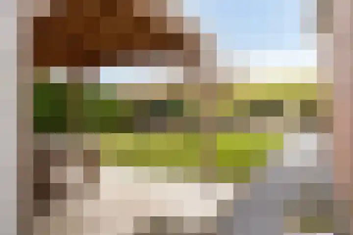 Onder de Zeedijk 8 Poortvliet thumbnail 44