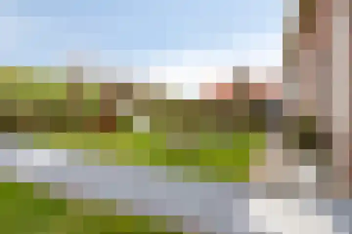 Onder de Zeedijk 8 Poortvliet thumbnail 45