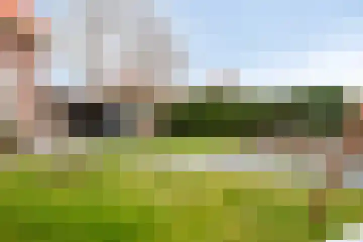 Onder de Zeedijk 8 Poortvliet thumbnail 47