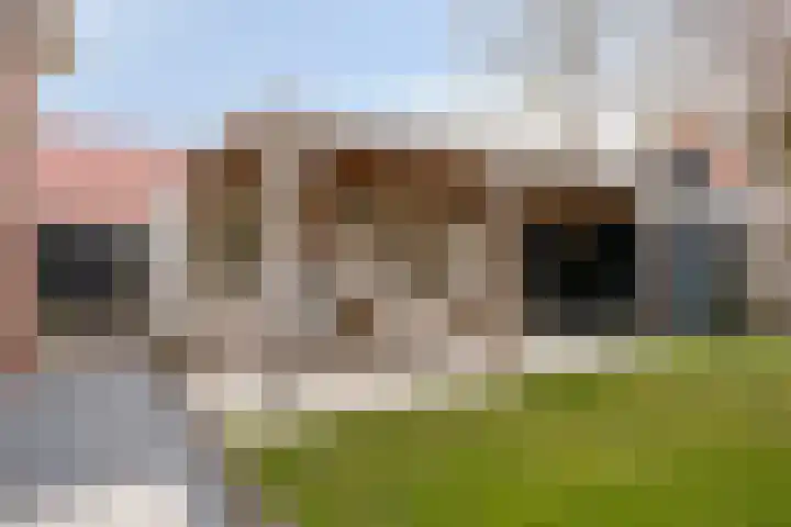 Onder de Zeedijk 8 Poortvliet thumbnail 5