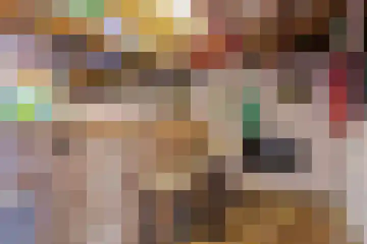 Onder de Zeedijk 8 Poortvliet thumbnail 50