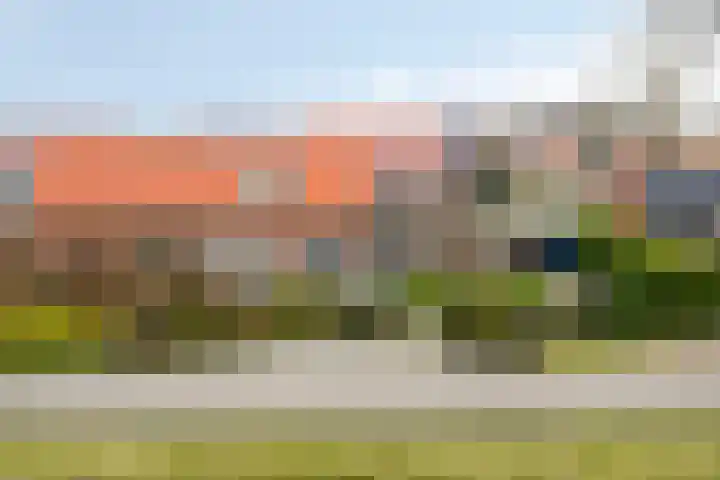 Onder de Zeedijk 8 Poortvliet thumbnail 56