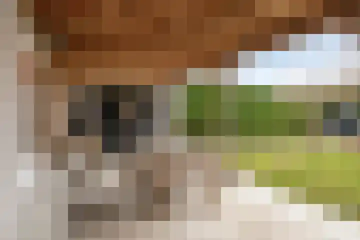 Onder de Zeedijk 8 Poortvliet thumbnail 6