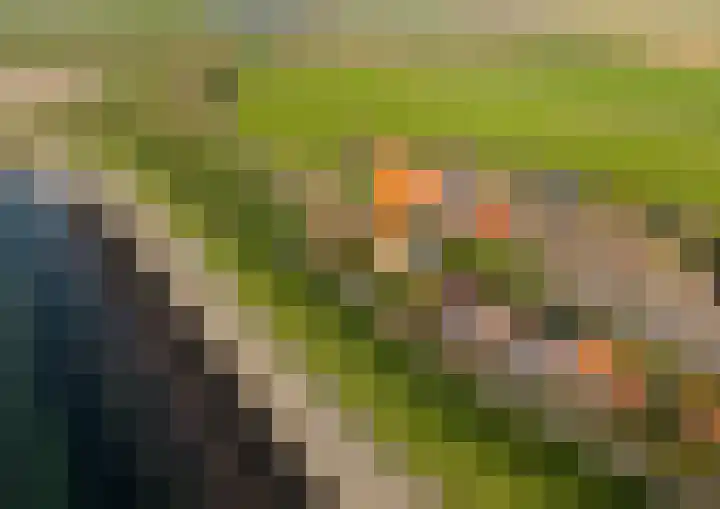 Onder de Zeedijk 8 Poortvliet thumbnail 60