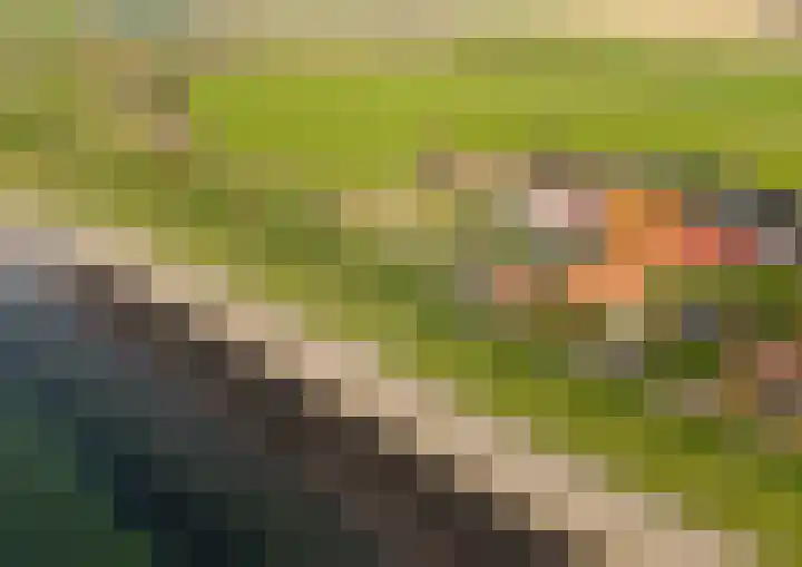 Onder de Zeedijk 8 Poortvliet thumbnail 61