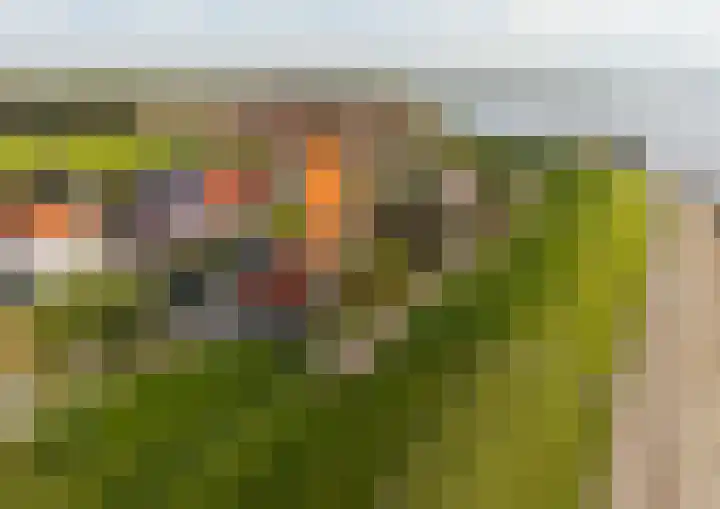 Onder de Zeedijk 8 Poortvliet thumbnail 63