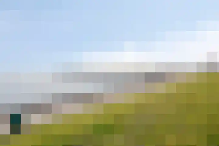 Onder de Zeedijk 8 Poortvliet thumbnail 64