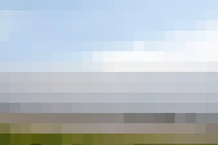 Onder de Zeedijk 8 Poortvliet thumbnail 65